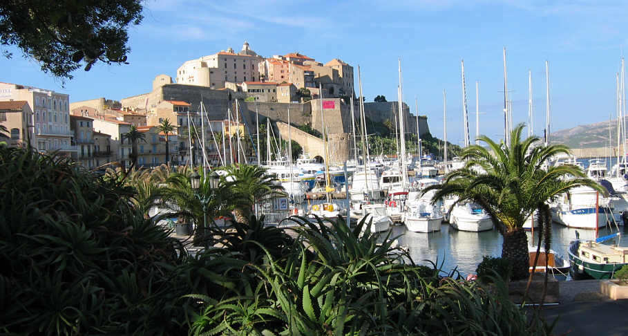 Calvi